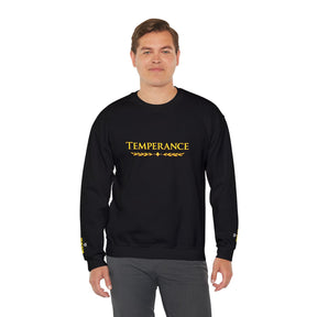 Entered Apprentice Blue Lodge Sweatshirt - Square & Compass Temperance Keep Balance - Bricks Masons