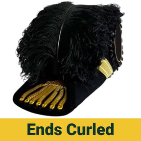 Grand Encampment Officer Knights Templar Chapeau - All Black Plumes - Bricks Masons