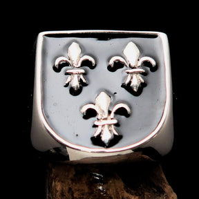 Knights Templar Ring - Black Fleur De Lis Sterling Silver - Bricks Masons